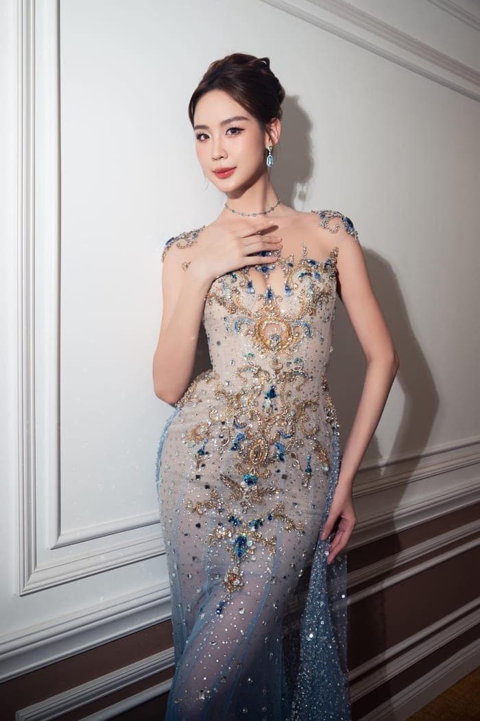 Trước Hoa hậu Bảo Ngọc, nhiều nghệ sĩ khác cũng rơi vào tình cảnh tương tự.