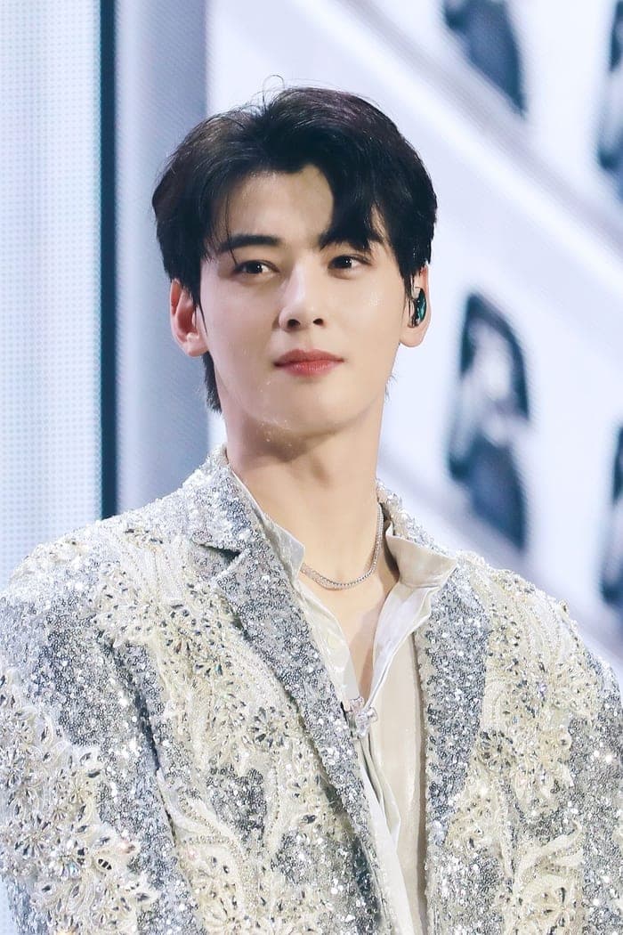 Nhiều thương hiệu từng hợp tác với Cha Eun Woo đã gỡ bỏ hoặc tạm ẩn hình ảnh của nam diễn viên.