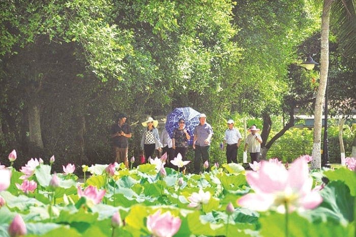 Vẻ đẹp Làng Sen quê Bác.